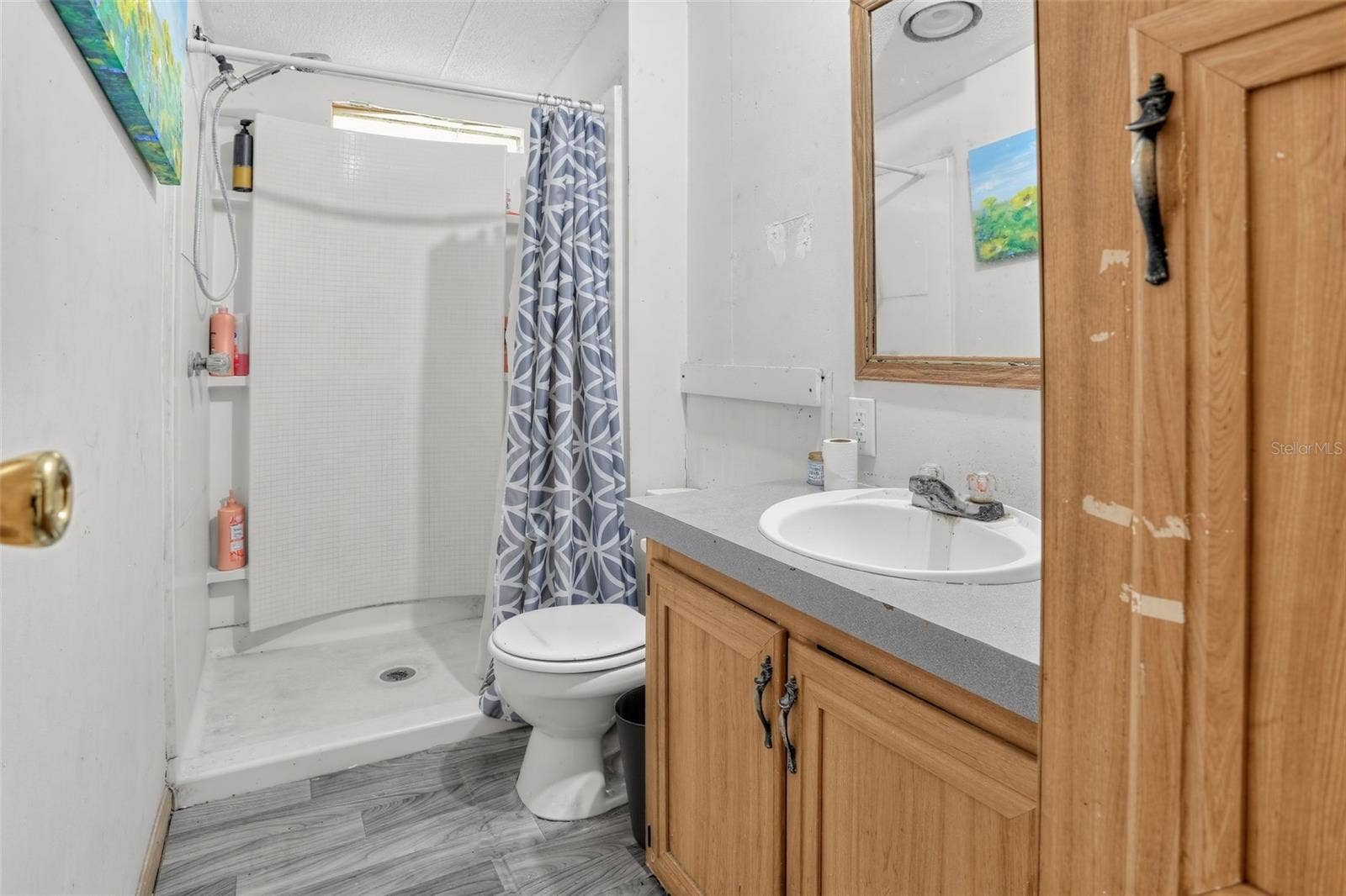 4705 ROBERTA STREET, Hastings, FL 32145 4705 ROBERTA STREET, Hastings, FL 32145