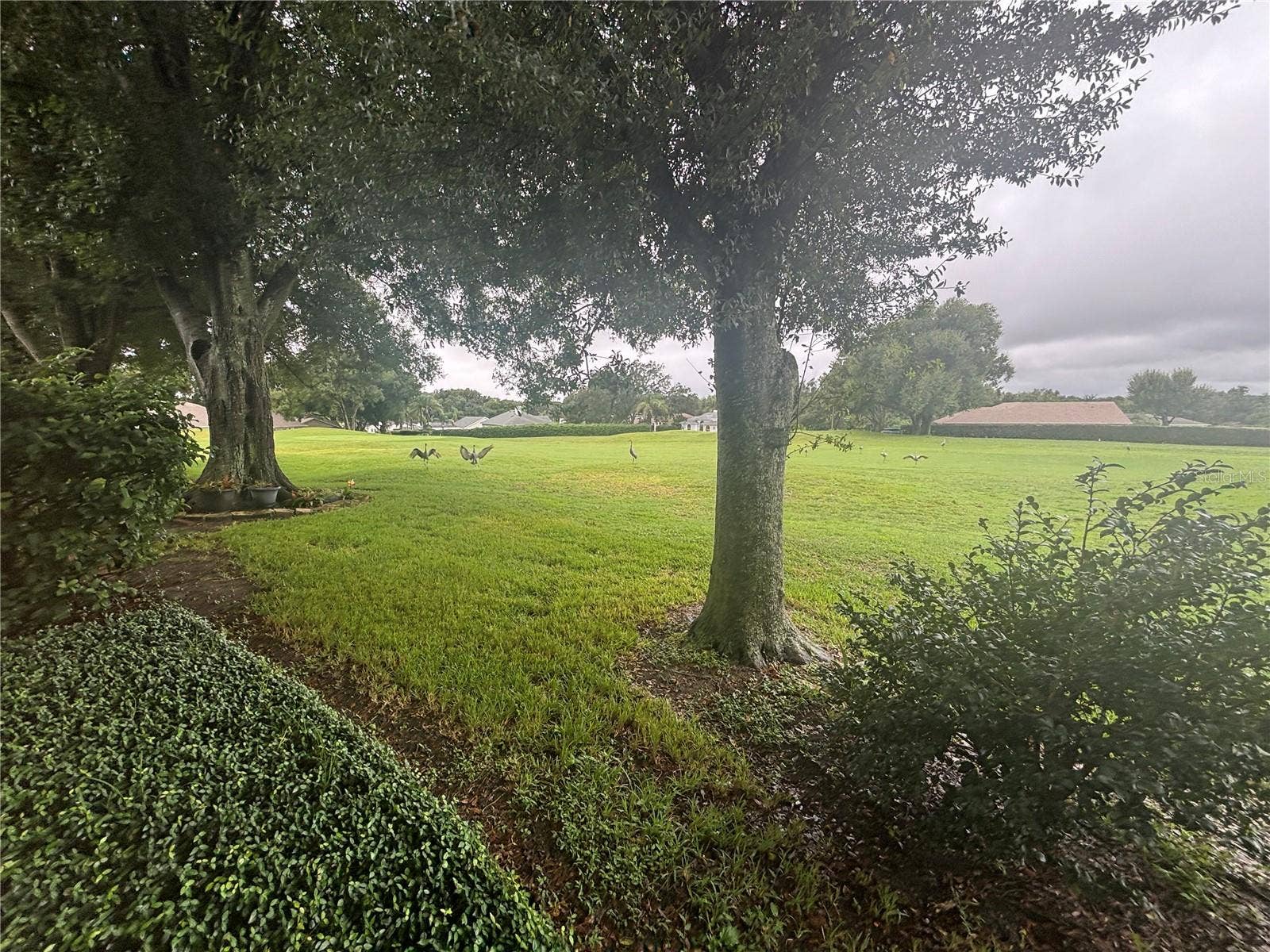 8815 VILLAGE GREEN BOULEVARD, Clermont, FL 34711 8815 VILLAGE GREEN BOULEVARD, Clermont, FL 34711