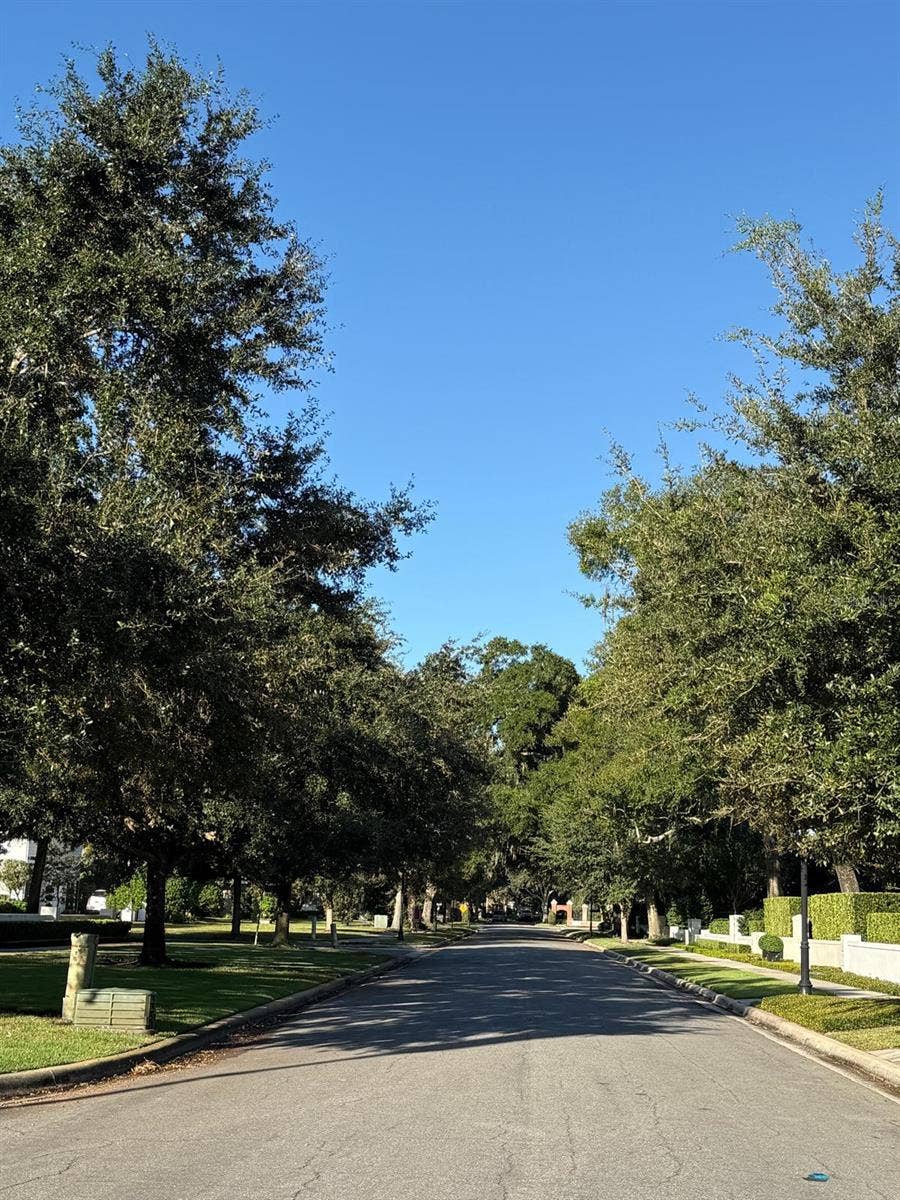 345 BELOIT AVENUE, Winter Park, FL 32789 tree lined street