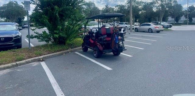Golf cart parking at Publix