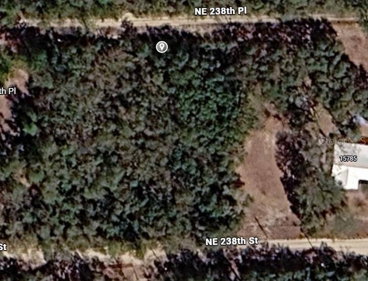 Property photo for NE 238TH PL, Fort Mc Coy, FL