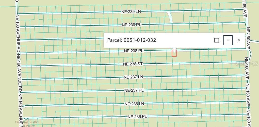 NE 238TH PL, Fort Mc Coy, FL 32134