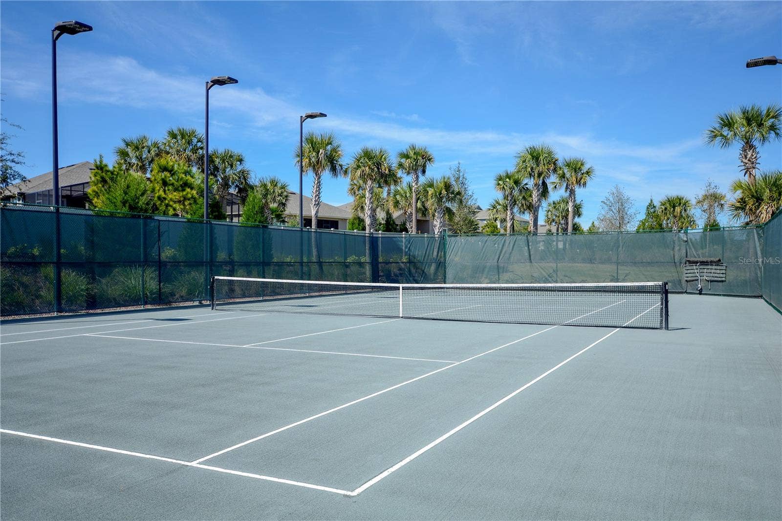 1038 TIMBERVALE TRAIL, Clermont, FL 34715 Clay Tennis Court. The Court is lighted for nighttime play.