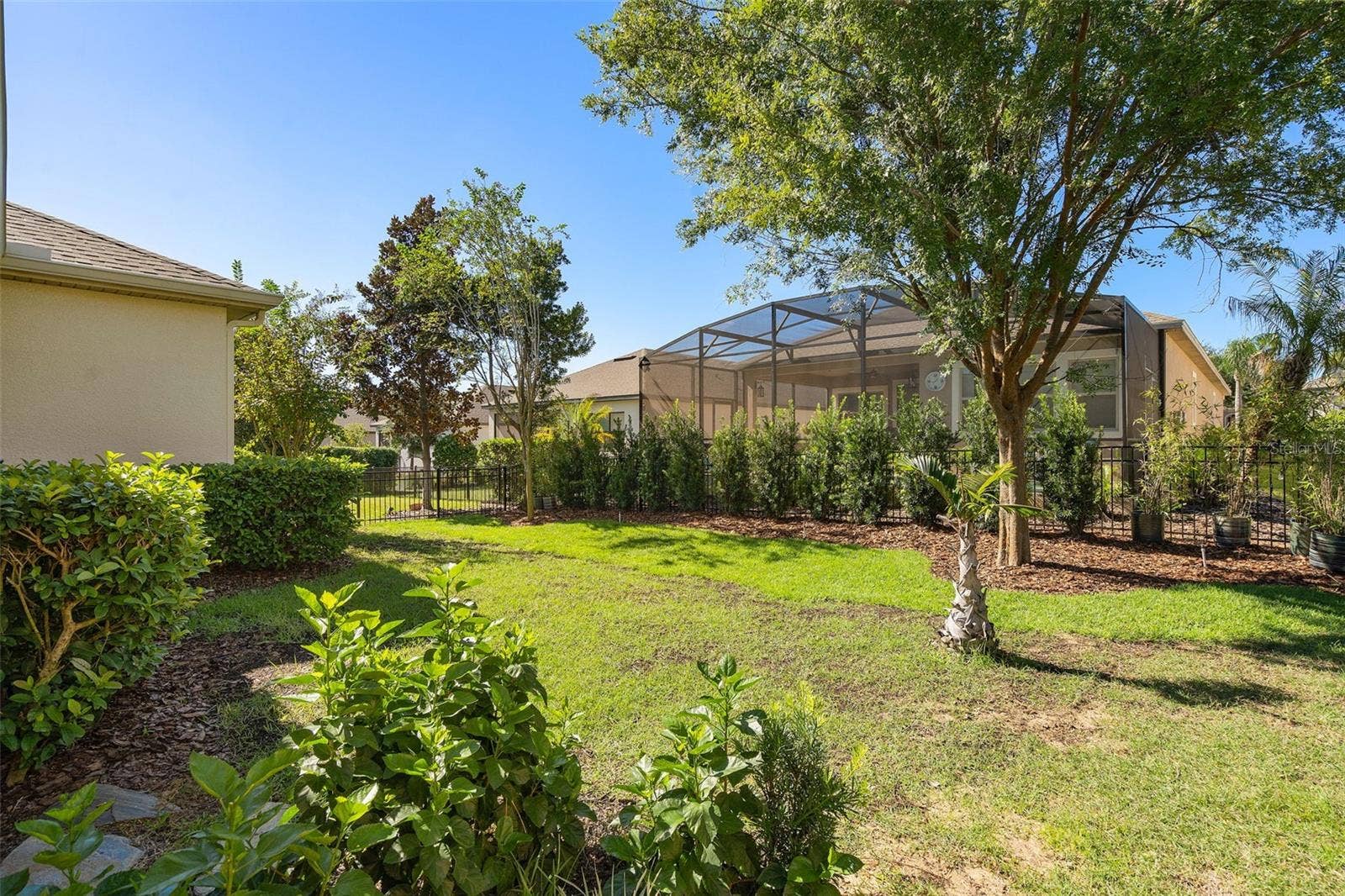 1038 TIMBERVALE TRAIL, Clermont, FL 34715 Rear Fully Fenced Yard with a Podocarpus Hedge