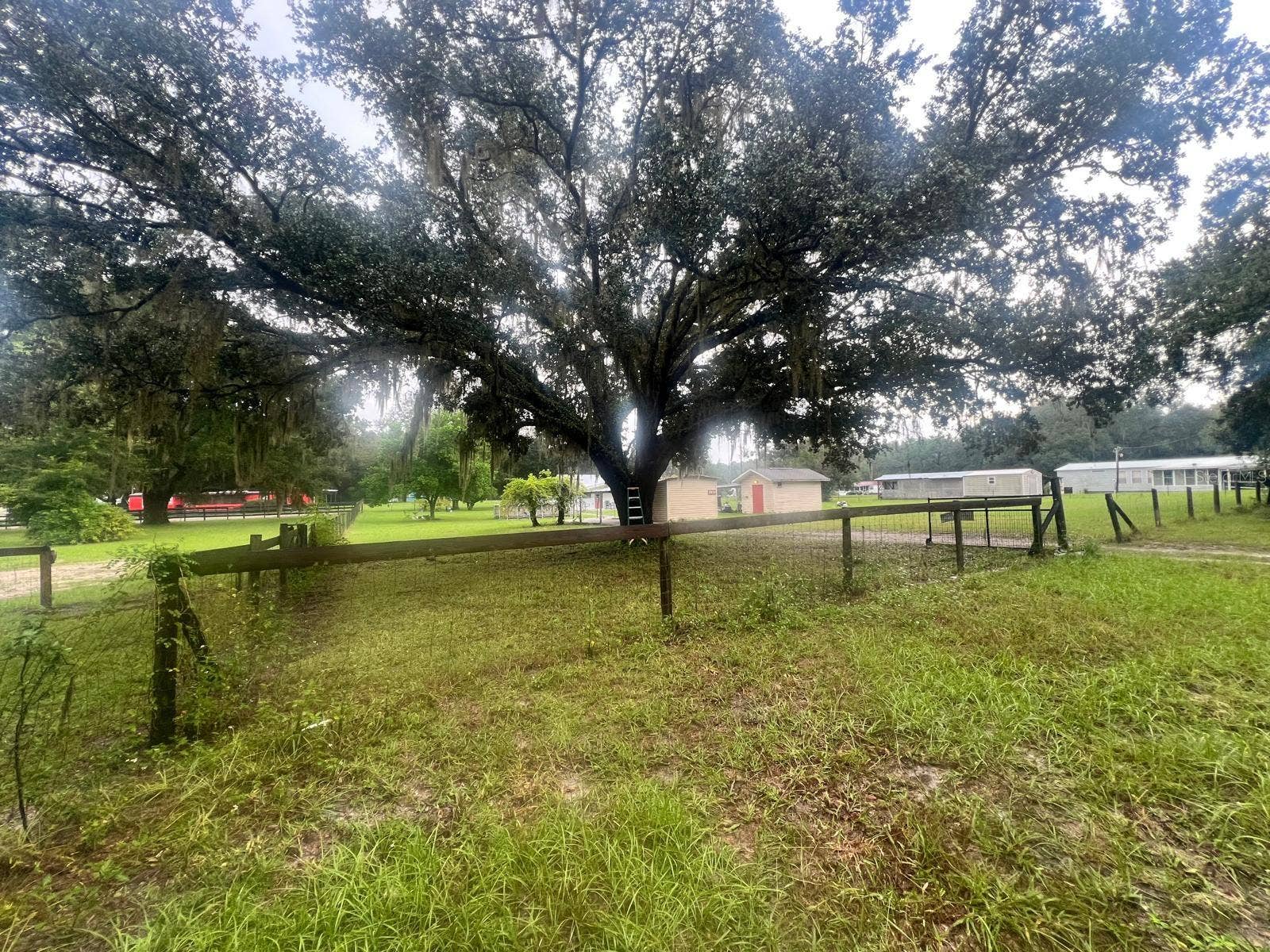 2031 SE 191ST TERRACE, Morriston, FL 32668