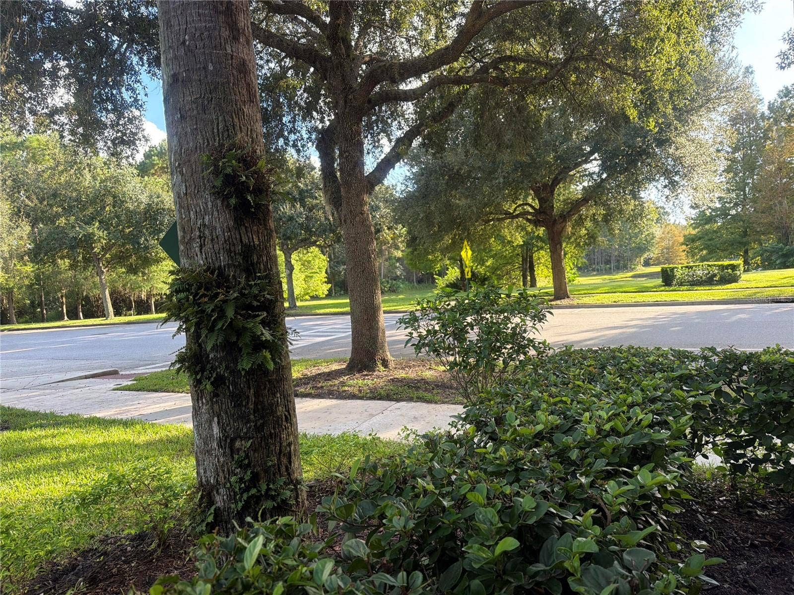 1401 CELEBRATION AVENUE, #103, Kissimmee, FL 34747 1401 CELEBRATION AVENUE, #103, Kissimmee, FL 34747