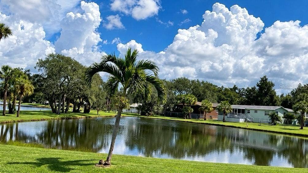 9533 86TH AVENUE, #9533, Seminole, FL 33777 Lake rear view - virtually enhanced