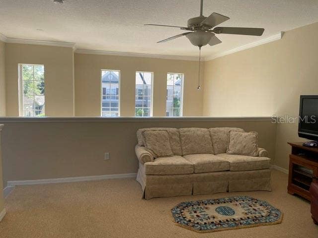 Bonus/Flex/Bedroom
