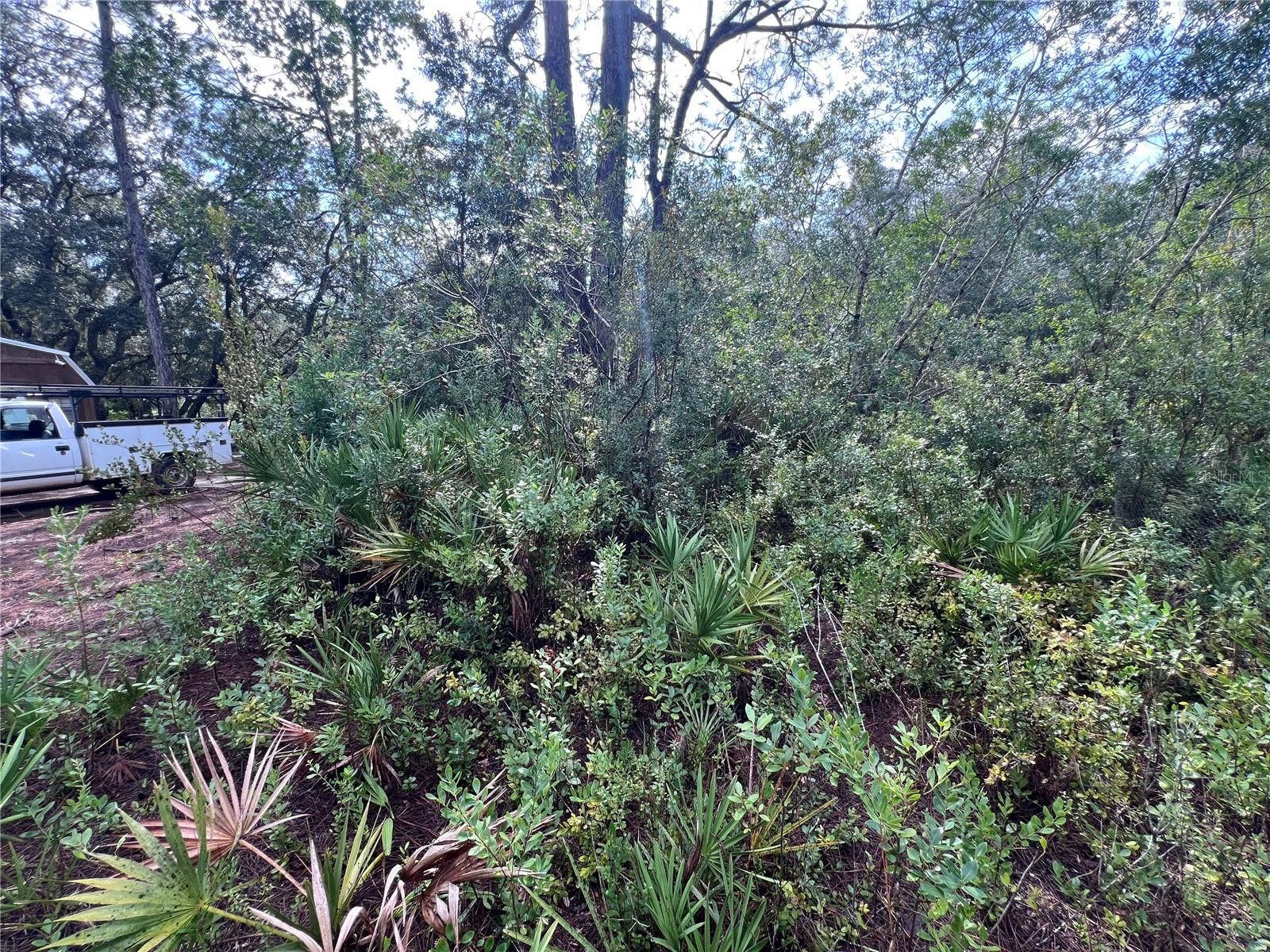 604 DEL MONACO AVE, Interlachen, FL 32148