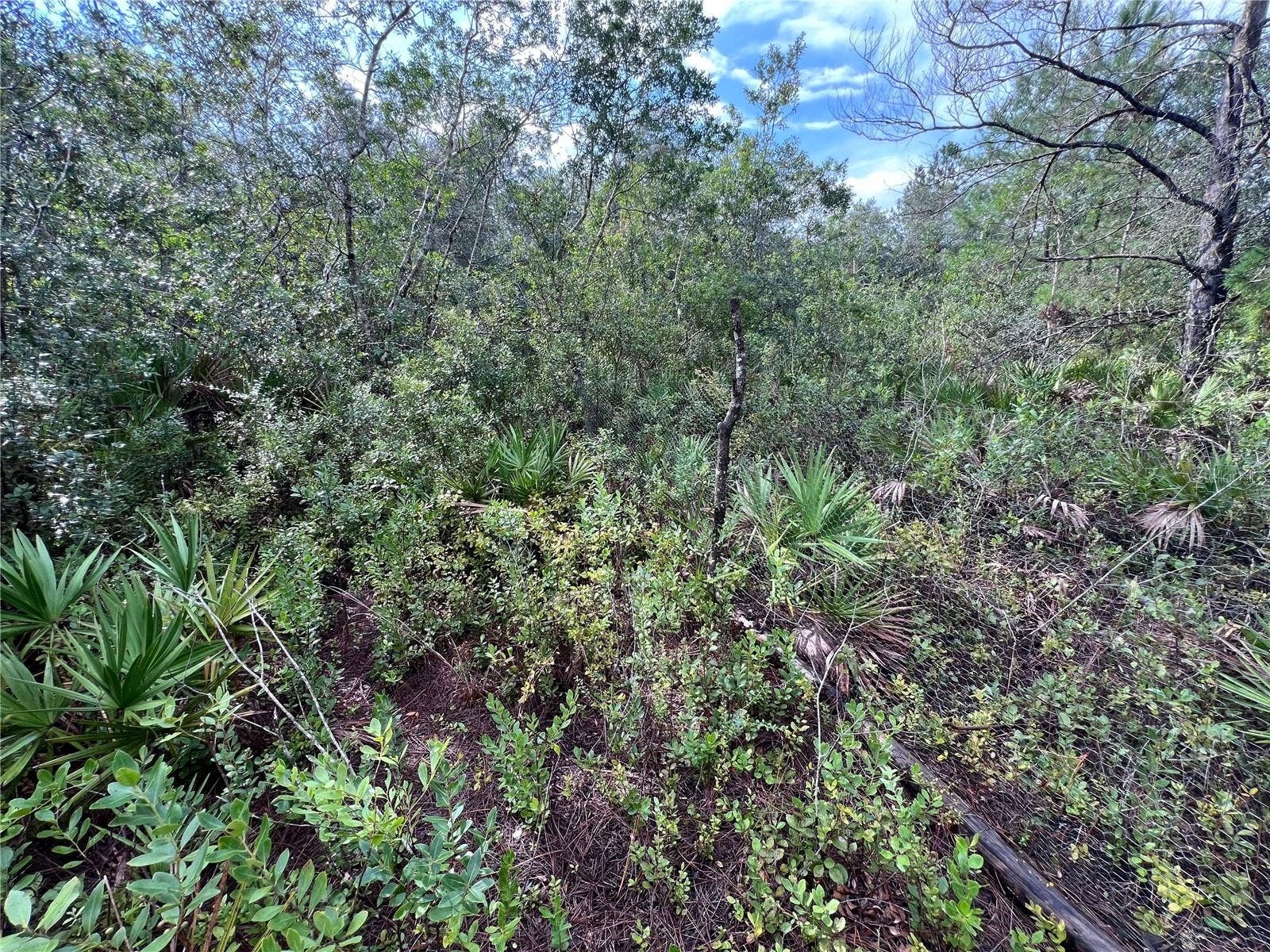 604 DEL MONACO AVE, Interlachen, FL 32148