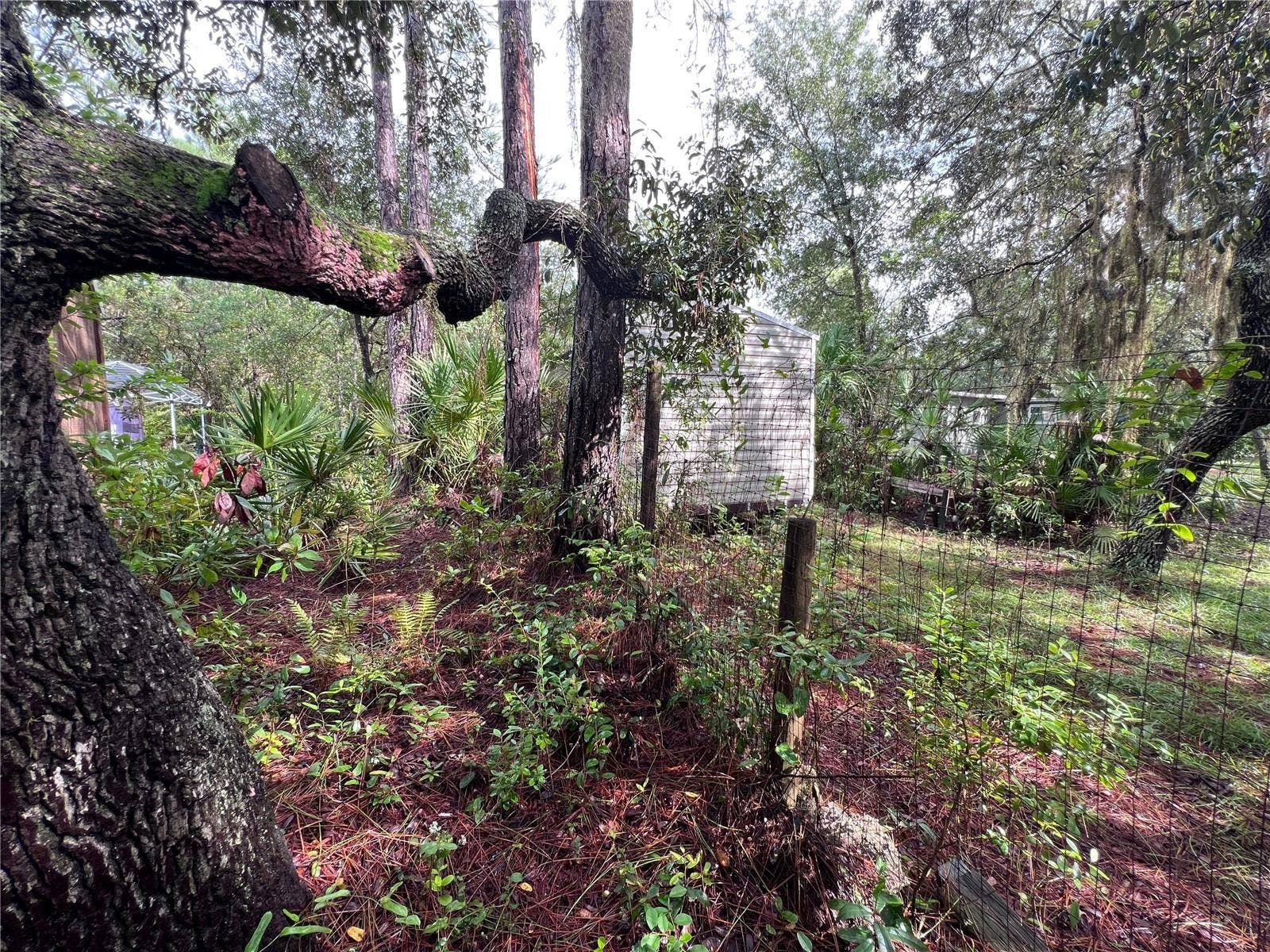 604 DEL MONACO AVE, Interlachen, FL 32148