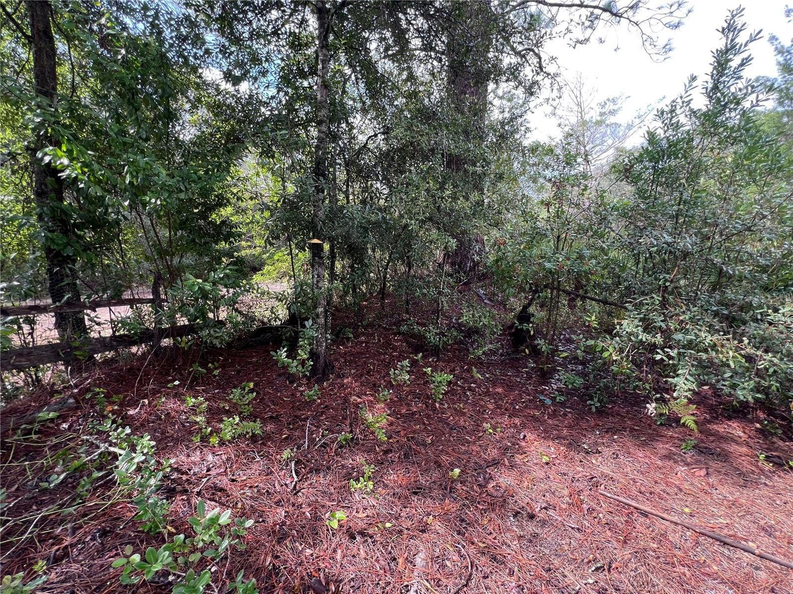 604 DEL MONACO AVE, Interlachen, FL 32148