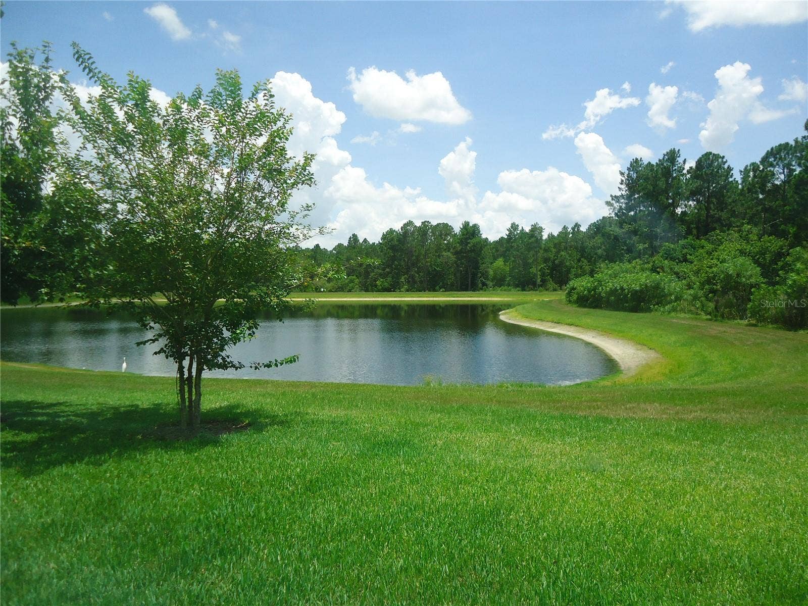 8128 JAILENE DRIVE, Windermere, FL 34786 8128 JAILENE DRIVE, Windermere, FL 34786
