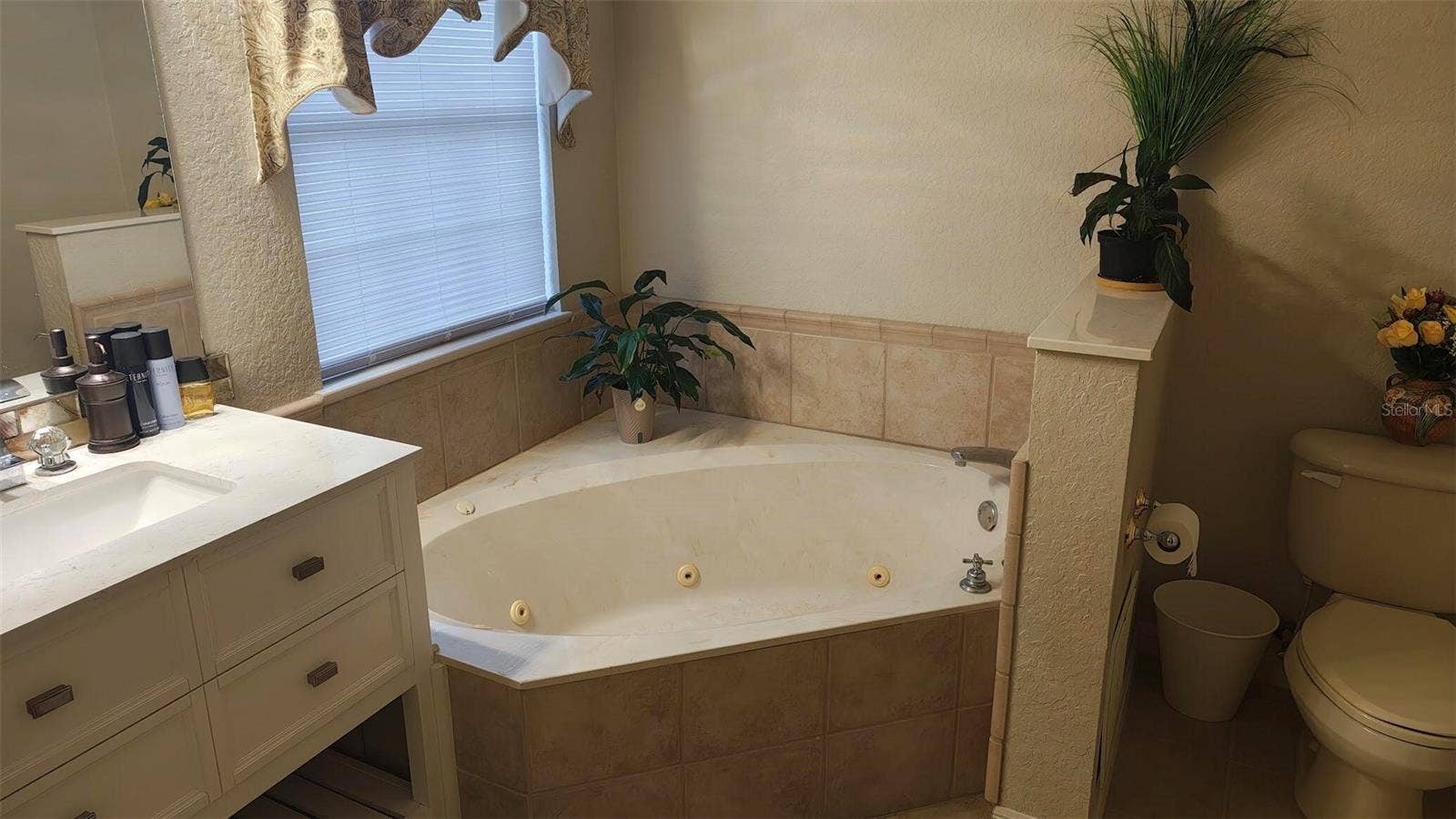11071 SE 174TH LOOP, Summerfield, FL 34491 11071 SE 174TH LOOP, Summerfield, FL 34491