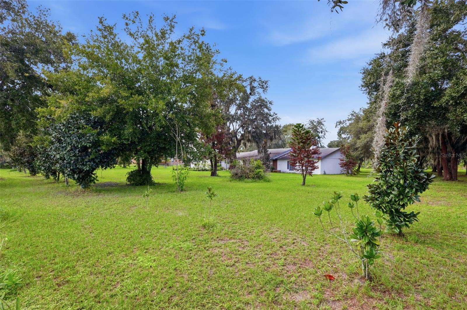 4151 BOGGY CREEK ROAD, Kissimmee, FL 34744 4151 BOGGY CREEK ROAD, Kissimmee, FL 34744