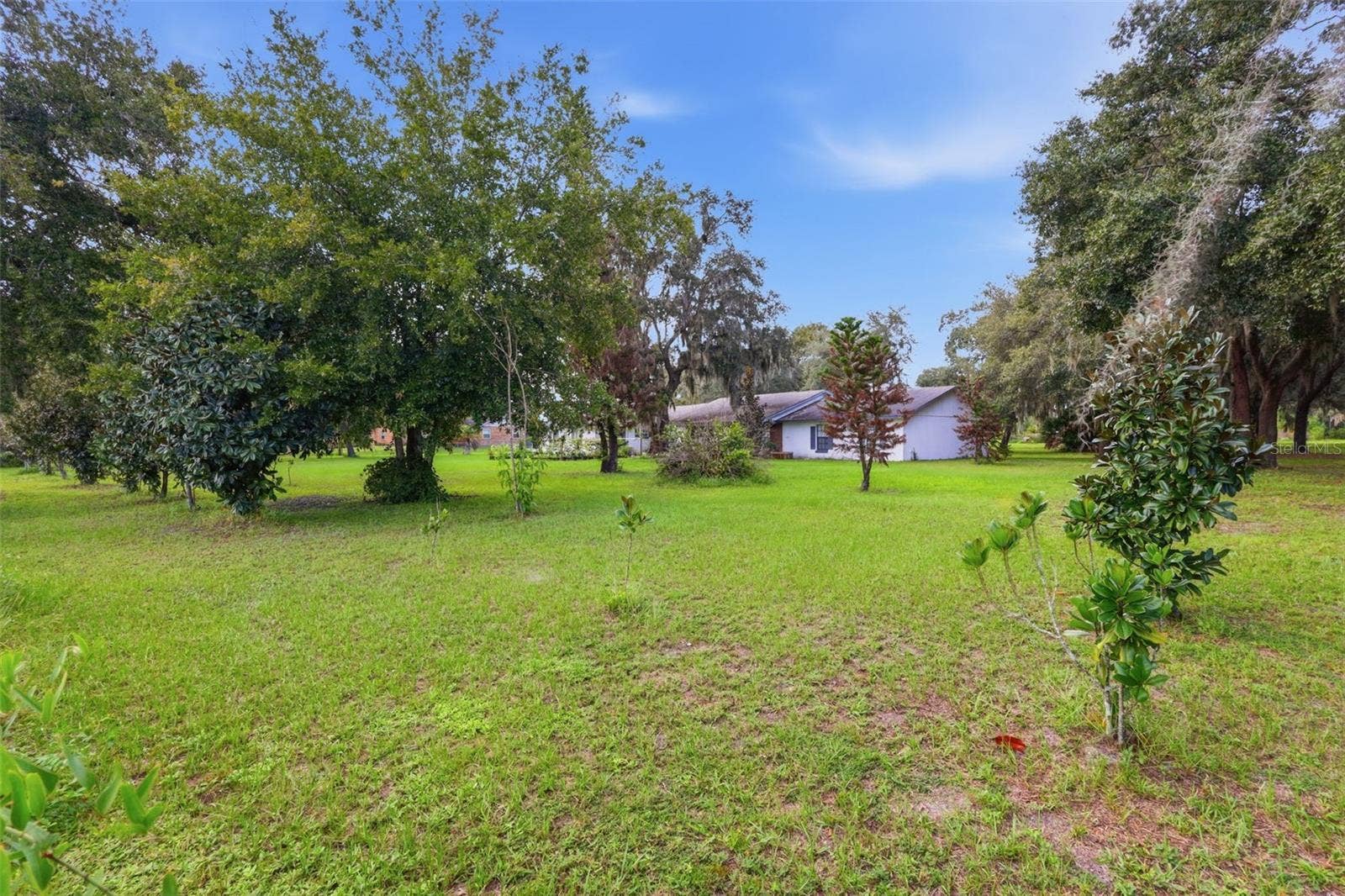 4151 BOGGY CREEK ROAD, Kissimmee, FL 34744 4151 BOGGY CREEK ROAD, Kissimmee, FL 34744