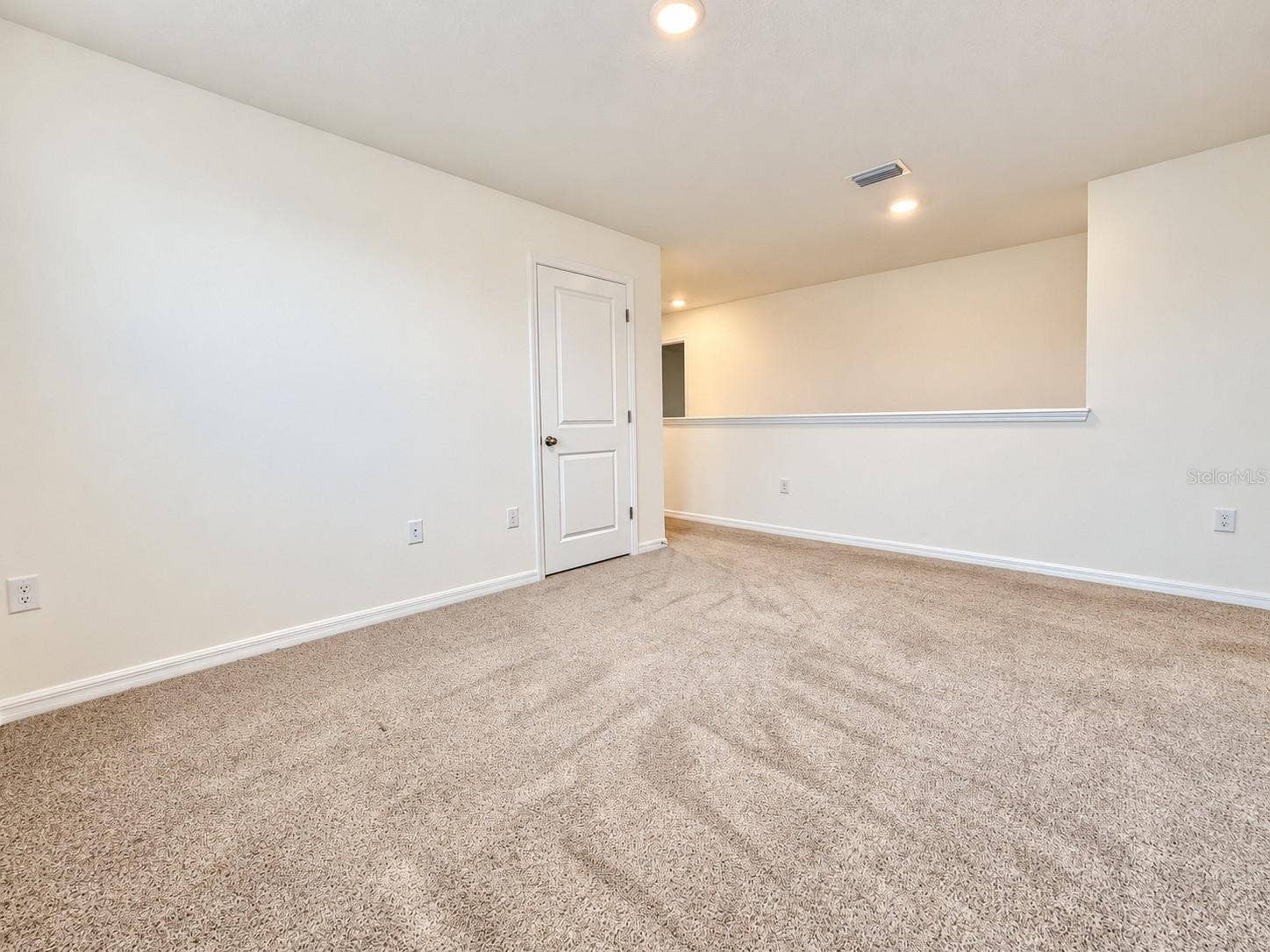 16535 WINDMILL FORGE PASS, Wimauma, FL 33598 Loft