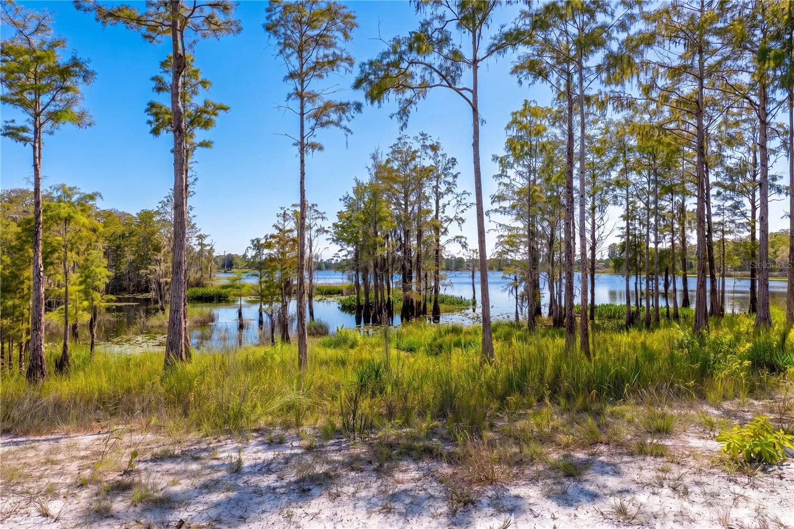 468 BLACK LAKE ROAD, Osteen, FL 32764