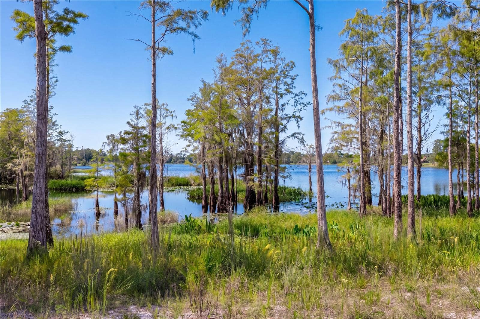 468 BLACK LAKE ROAD, Osteen, FL 32764