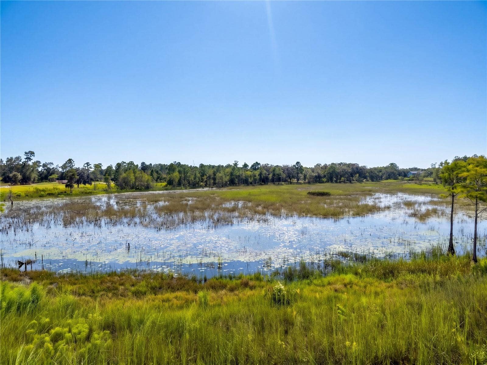 468 BLACK LAKE ROAD, Osteen, FL 32764
