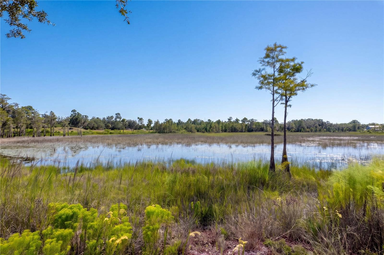 468 BLACK LAKE ROAD, Osteen, FL 32764