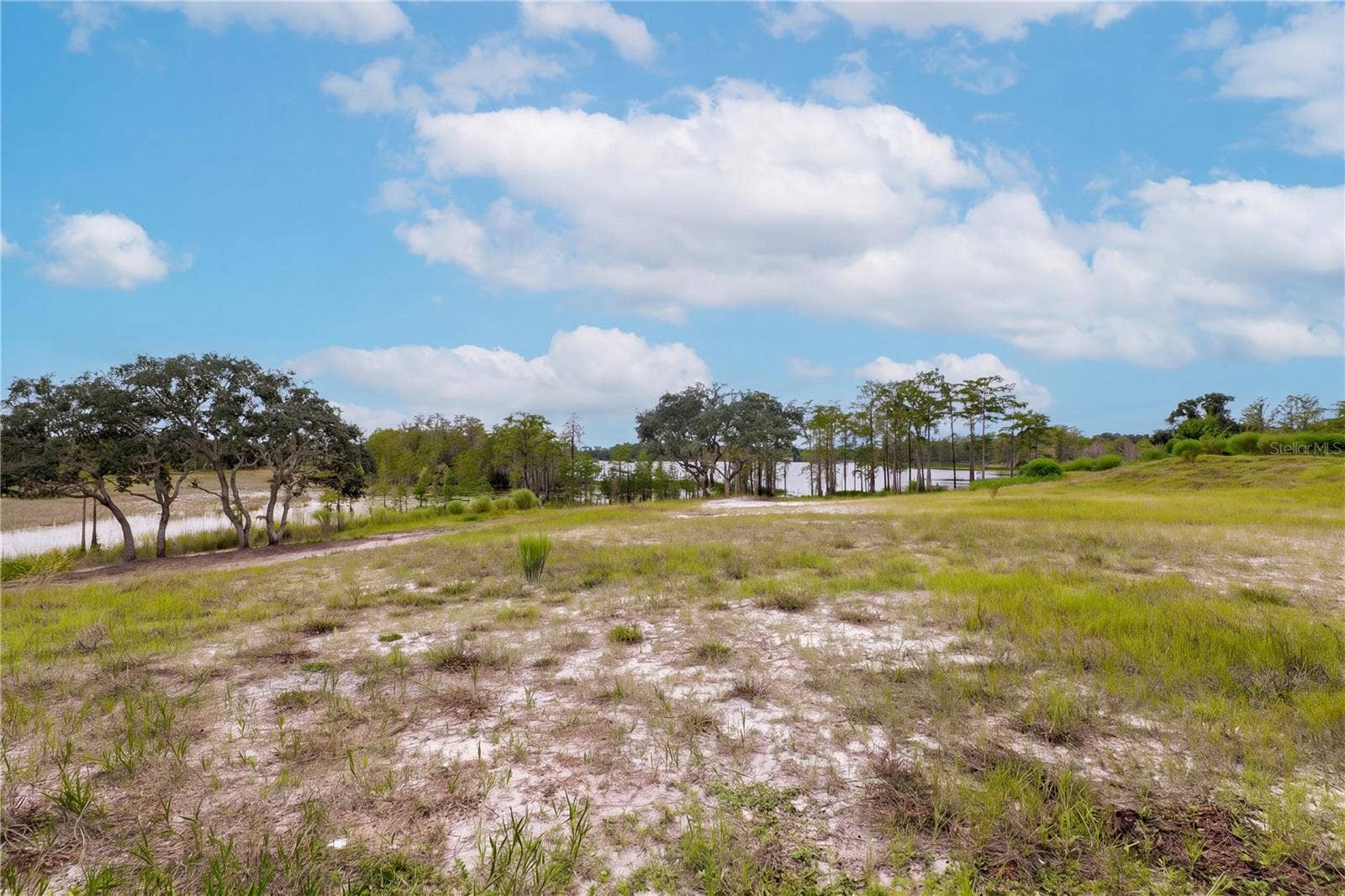 468 BLACK LAKE ROAD, Osteen, FL 32764
