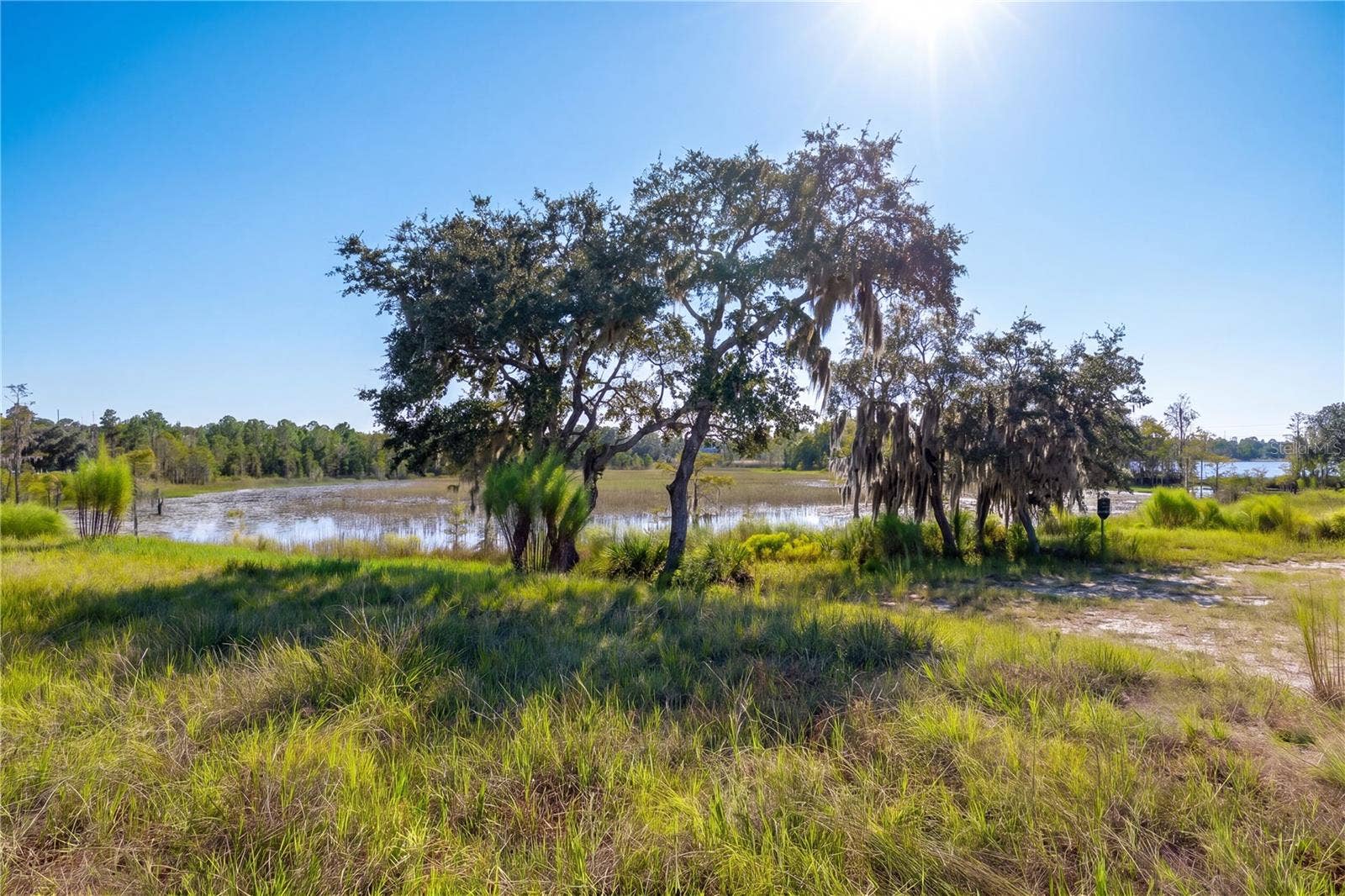468 BLACK LAKE ROAD, Osteen, FL 32764