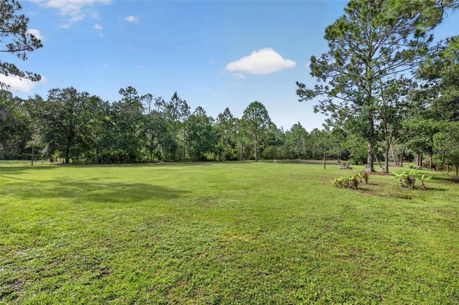 20963 E COLONIAL DRIVE, Christmas, FL 32709 20963 E COLONIAL DRIVE, Christmas, FL 32709