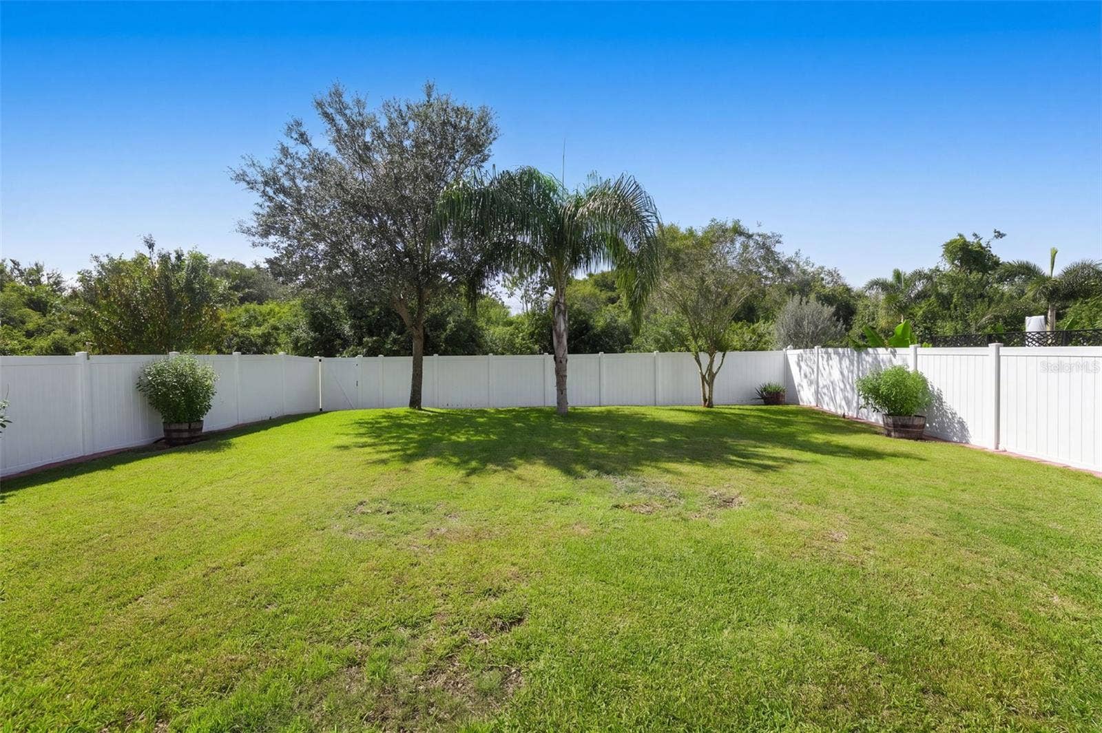 Fenced expansive yard