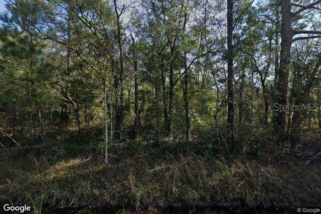 10100 VAUGHAN AVENUE, Hastings, FL 32145 10100 VAUGHAN AVENUE, Hastings, FL 32145