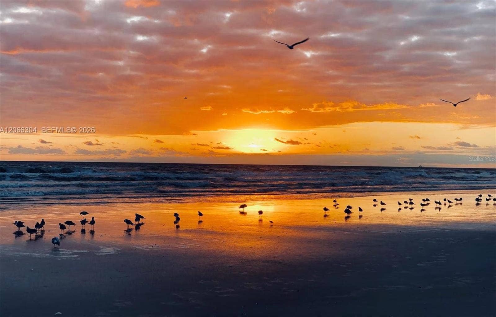100 SILVER BEACH AVENUE, #720, Daytona Beach, FL 32118 100 SILVER BEACH AVENUE, #720, Daytona Beach, FL 32118