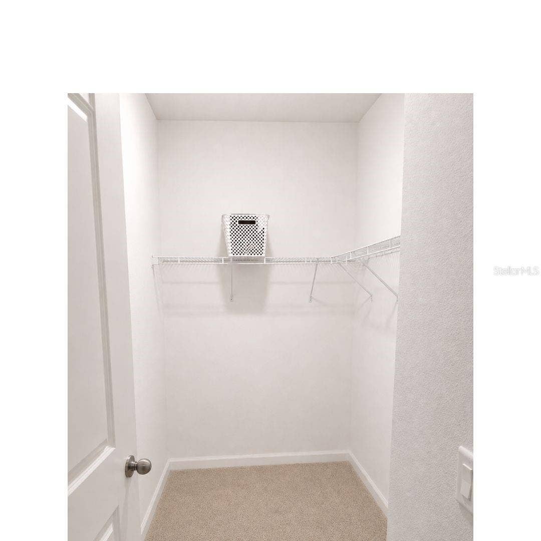 30084 ISLAND CLUB DRIVE DRIVE, Deer Island, FL 32778 Owners closet 2