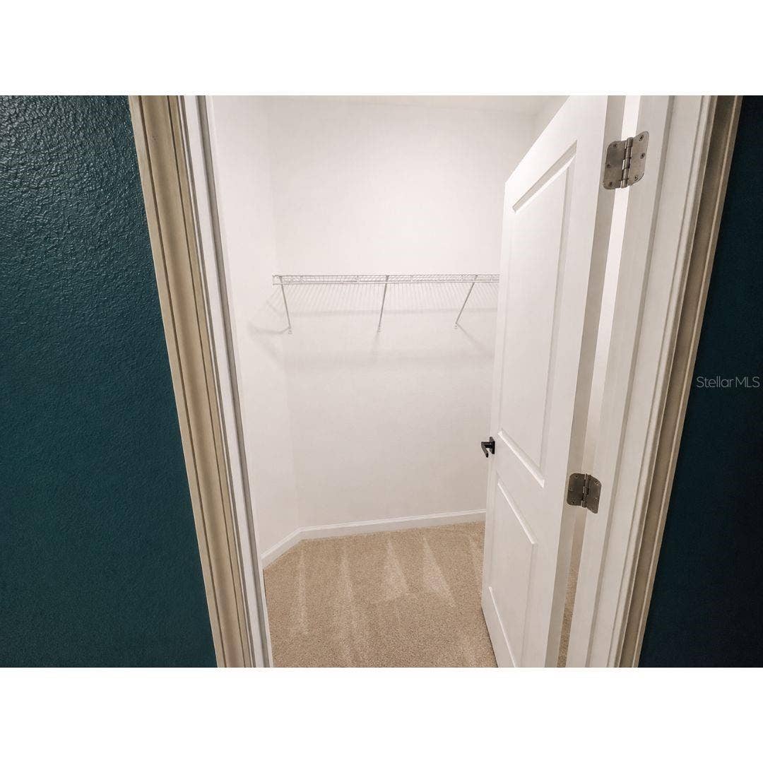 30084 ISLAND CLUB DRIVE DRIVE, Deer Island, FL 32778 Owners closet 1