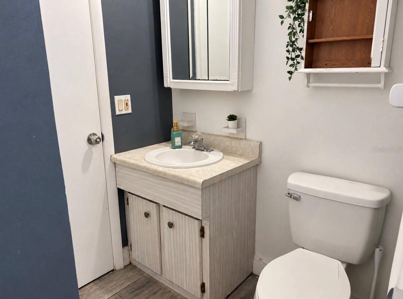 Jack & Jill (hallway bathroom)