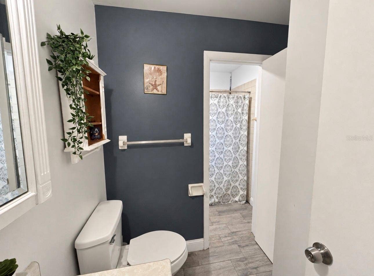 Jack & Jill (hallway bathroom)