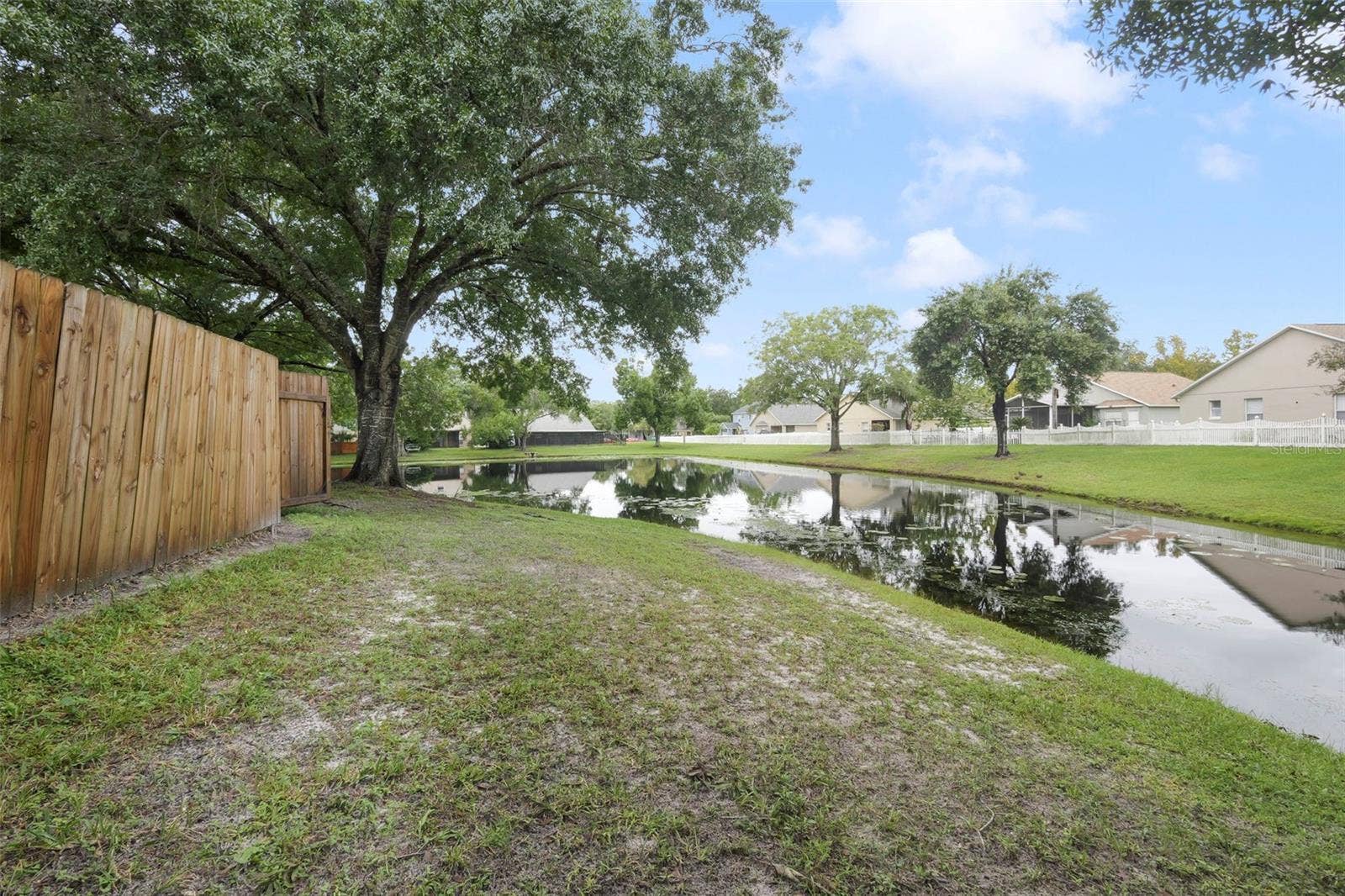 Pond View - Image 2