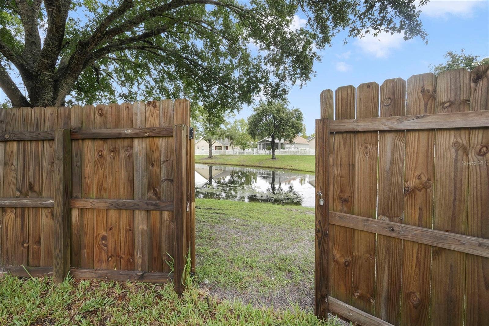 Pond View - Image 1