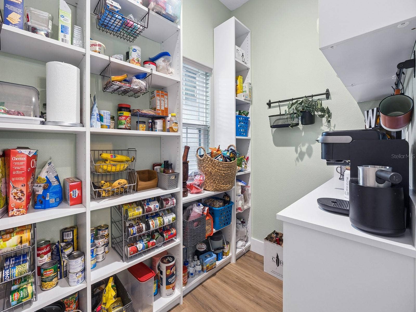 412 SNOW HILL RD, Geneva, FL 32732 Walk-in pantry