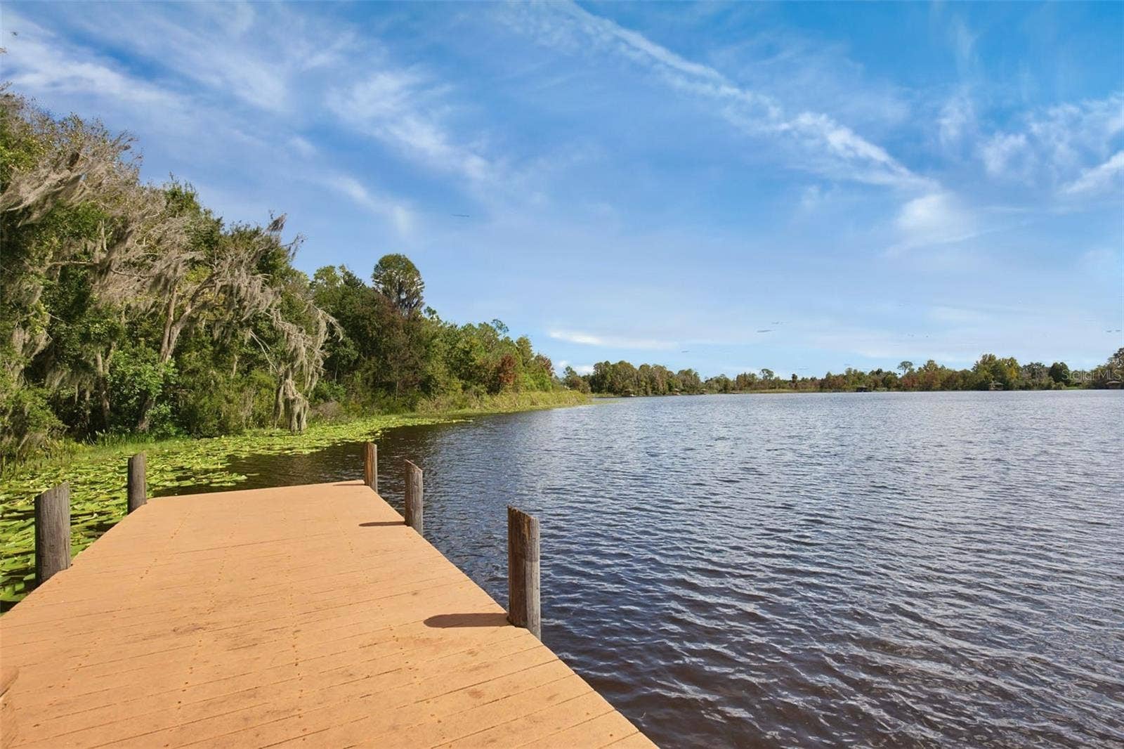 7627 BLUE SPRING DRIVE, Land O Lakes, FL 34637 7627 BLUE SPRING DRIVE, Land O Lakes, FL 34637