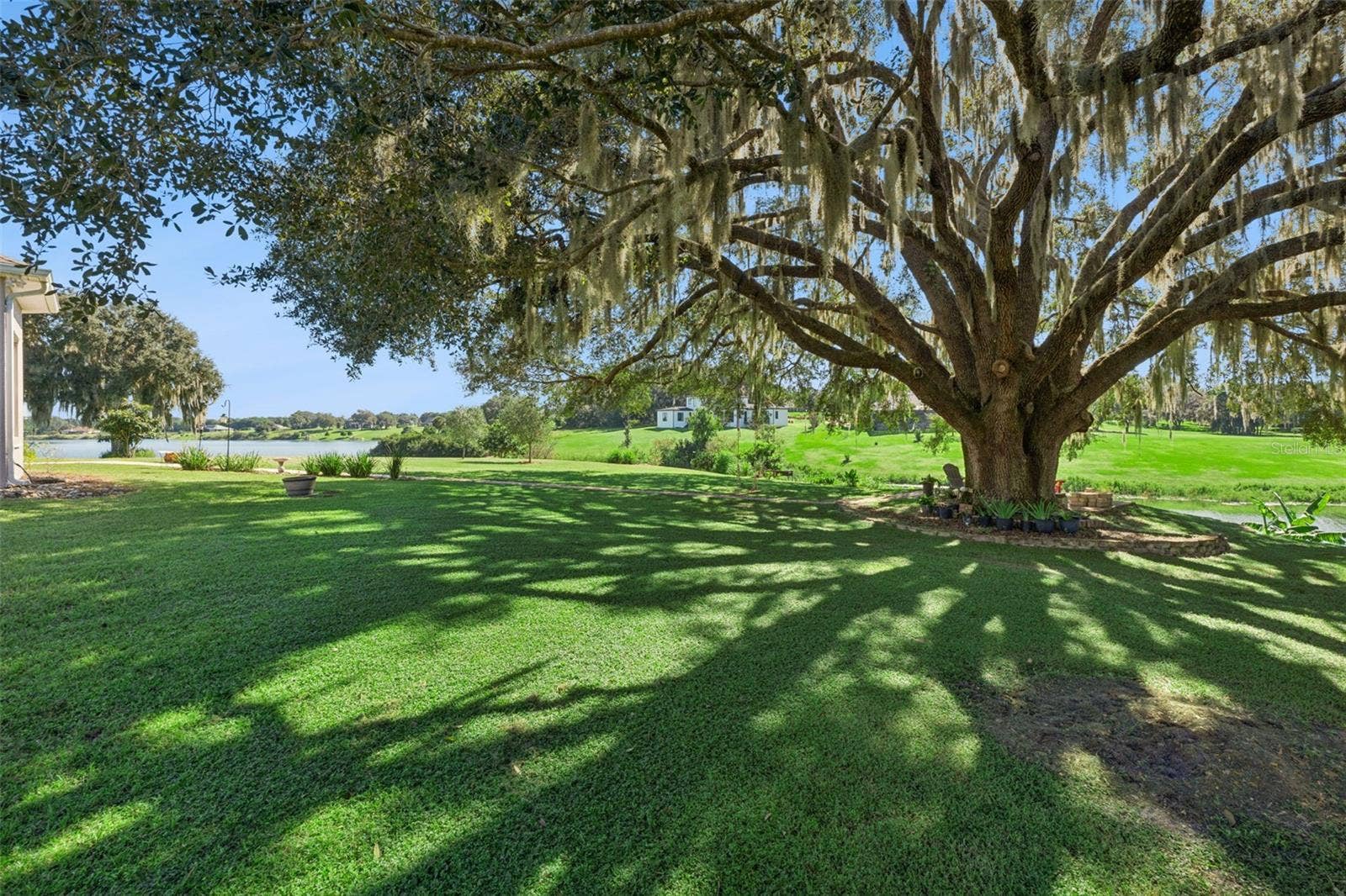 36819 WOLF COURT, Eustis, FL 32736 Extensive pavers were added along with a sitting area under this water side oak tree