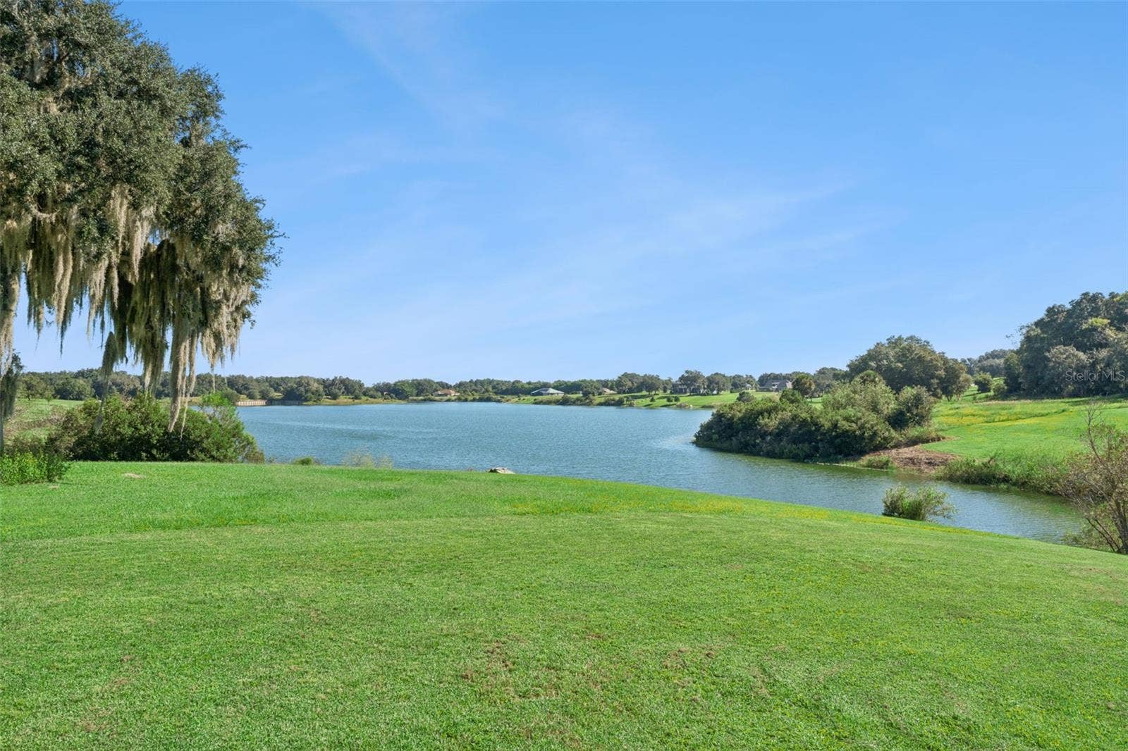 36819 WOLF COURT, Eustis, FL 32736 Water frontage from your backyard