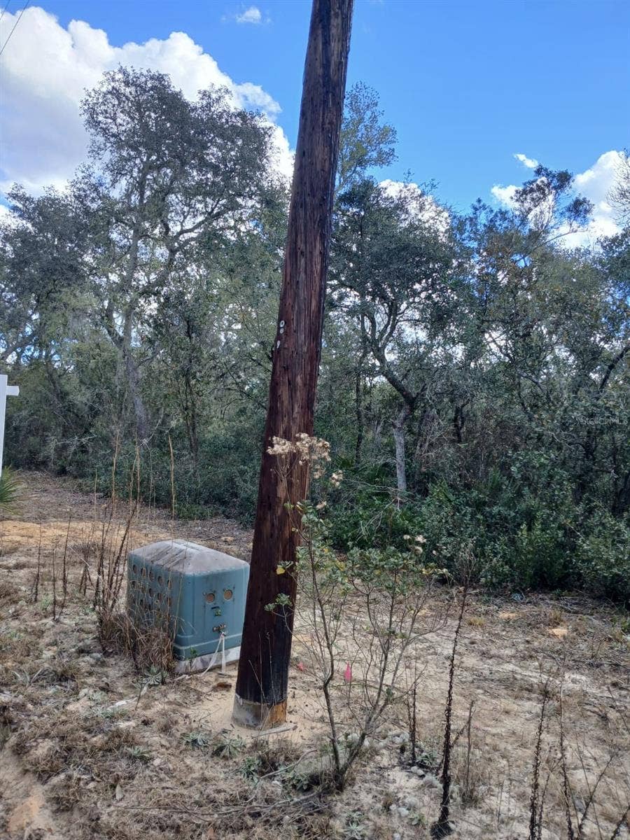 TBD NE 234 TH PLACE, #Lots 19.20.21, Fort Mc Coy, FL 32134 TBD NE 234 TH PLACE, #Lots 19.20.21, Fort Mc Coy, FL 32134