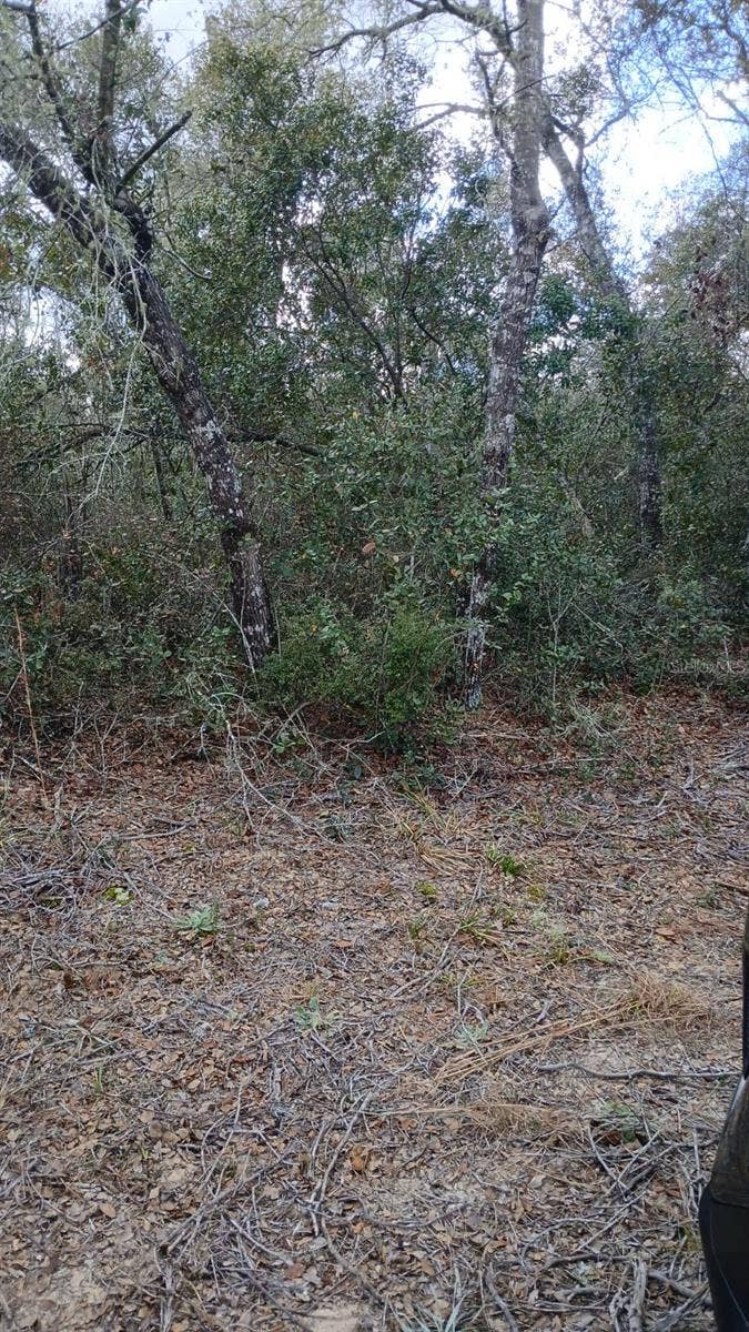 TBD NE 234 TH PLACE, #Lots 19.20.21, Fort Mc Coy, FL 32134 TBD NE 234 TH PLACE, #Lots 19.20.21, Fort Mc Coy, FL 32134