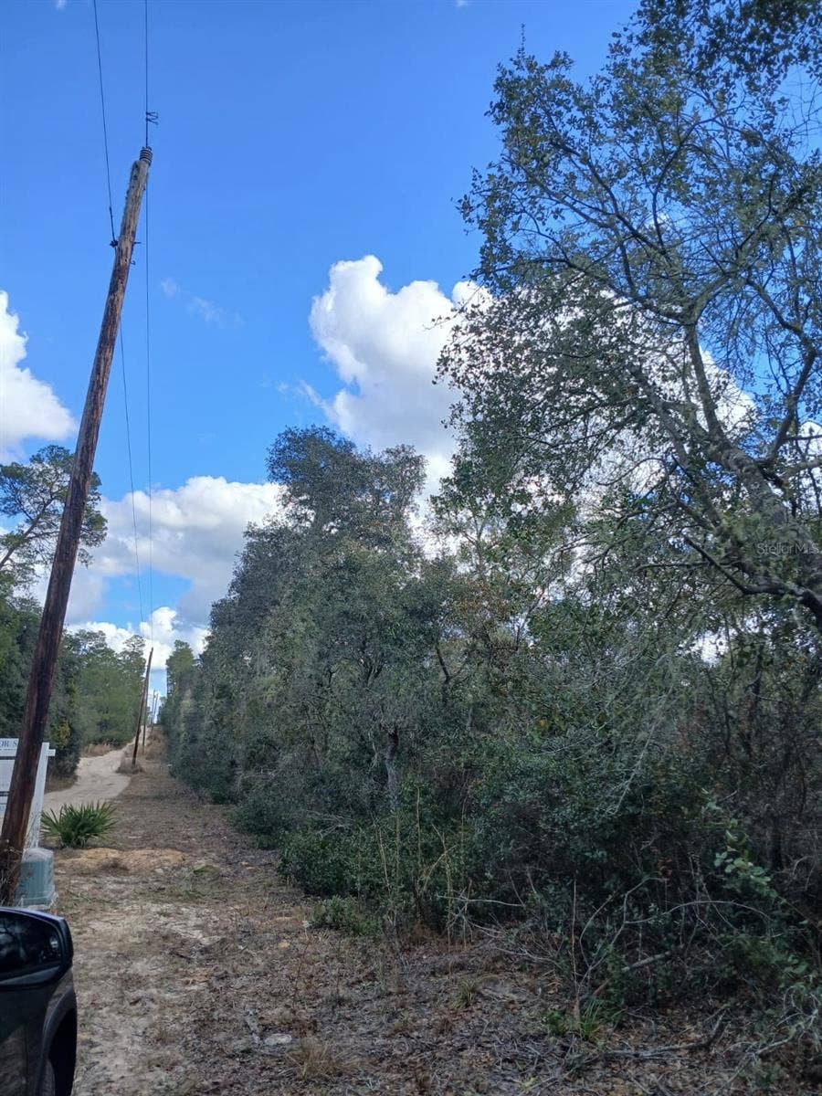 TBD NE 234 TH PLACE, #Lots 19.20.21, Fort Mc Coy, FL 32134 TBD NE 234 TH PLACE, #Lots 19.20.21, Fort Mc Coy, FL 32134