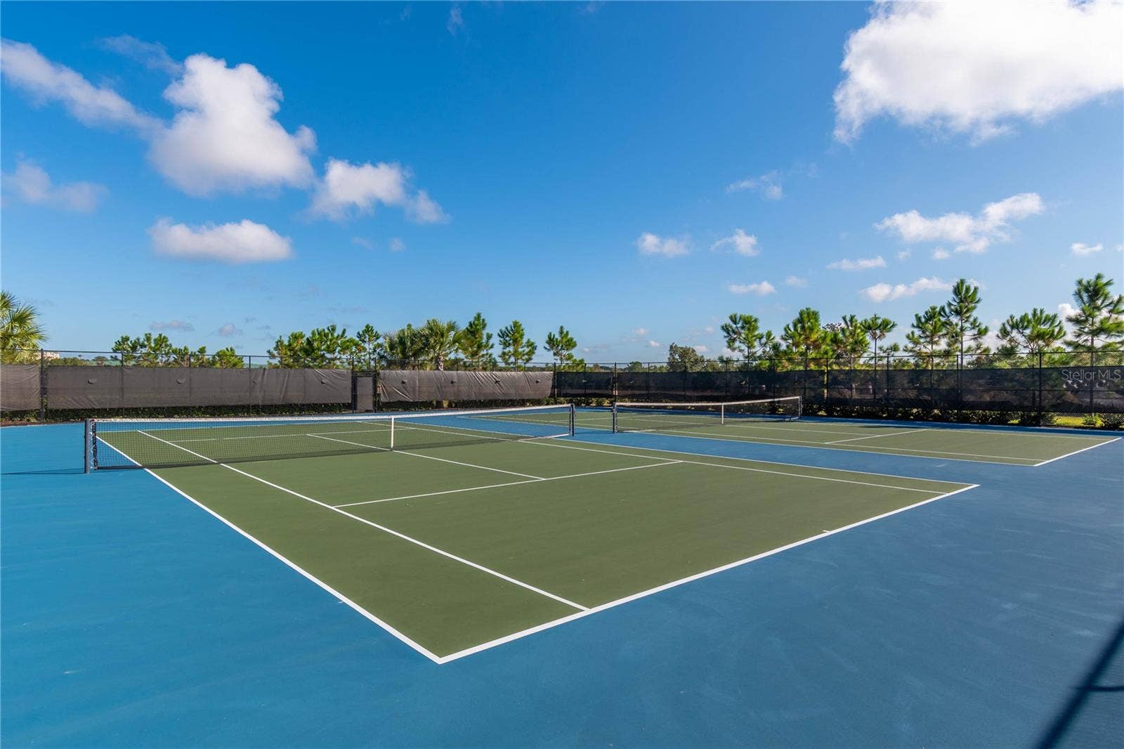 1915 FLORA PASS PLACE, Kissimmee, FL 34747 1915 FLORA PASS PLACE, Kissimmee, FL 34747
