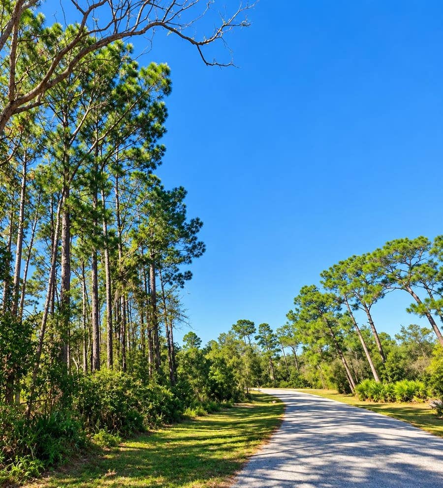 Property photo for 14364 MODEL ROAD, Orlando, FL