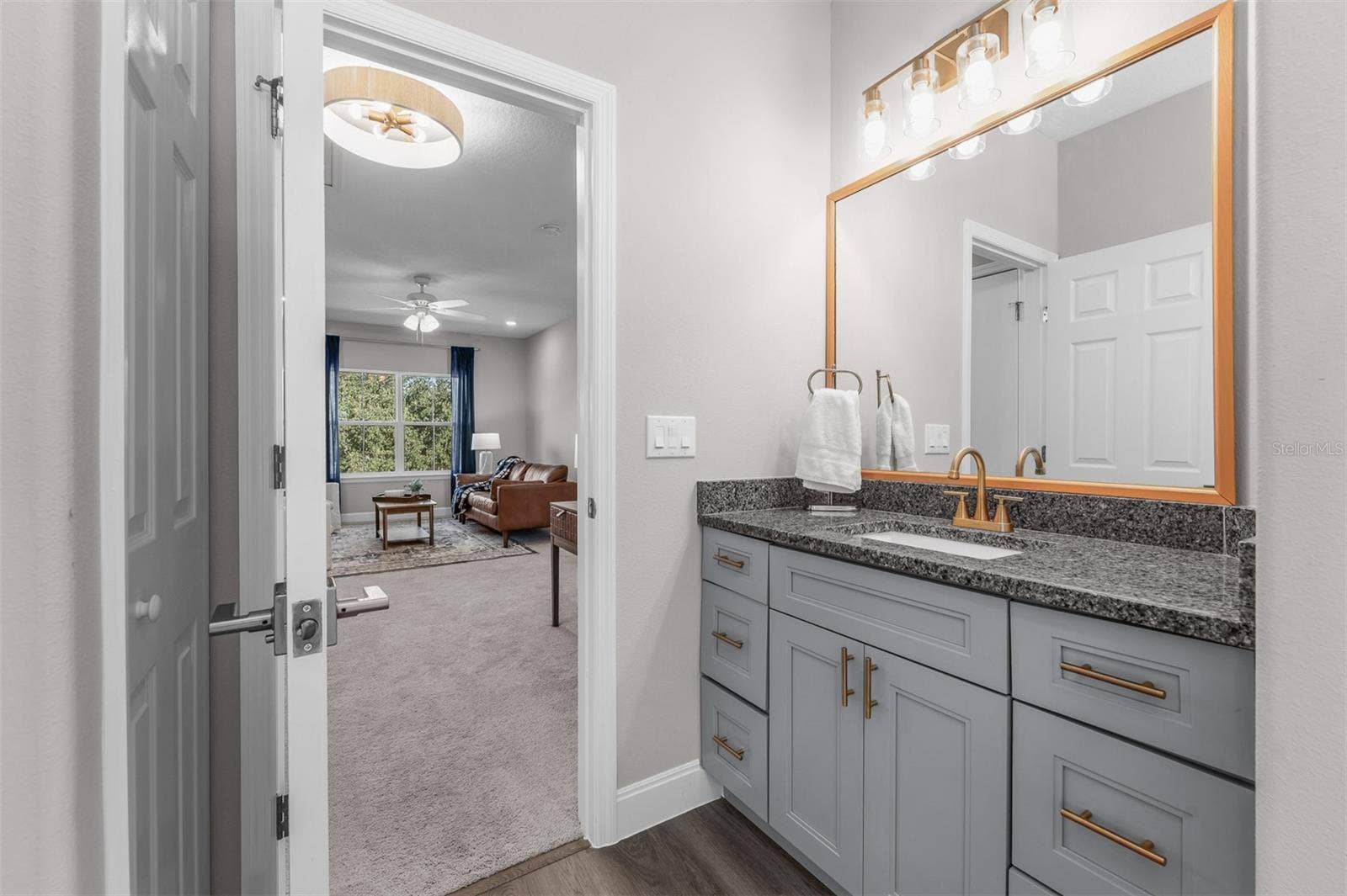 8556 MAGNIFICENT LANE, Groveland, FL 34736 8556 MAGNIFICENT LANE, Groveland, FL 34736