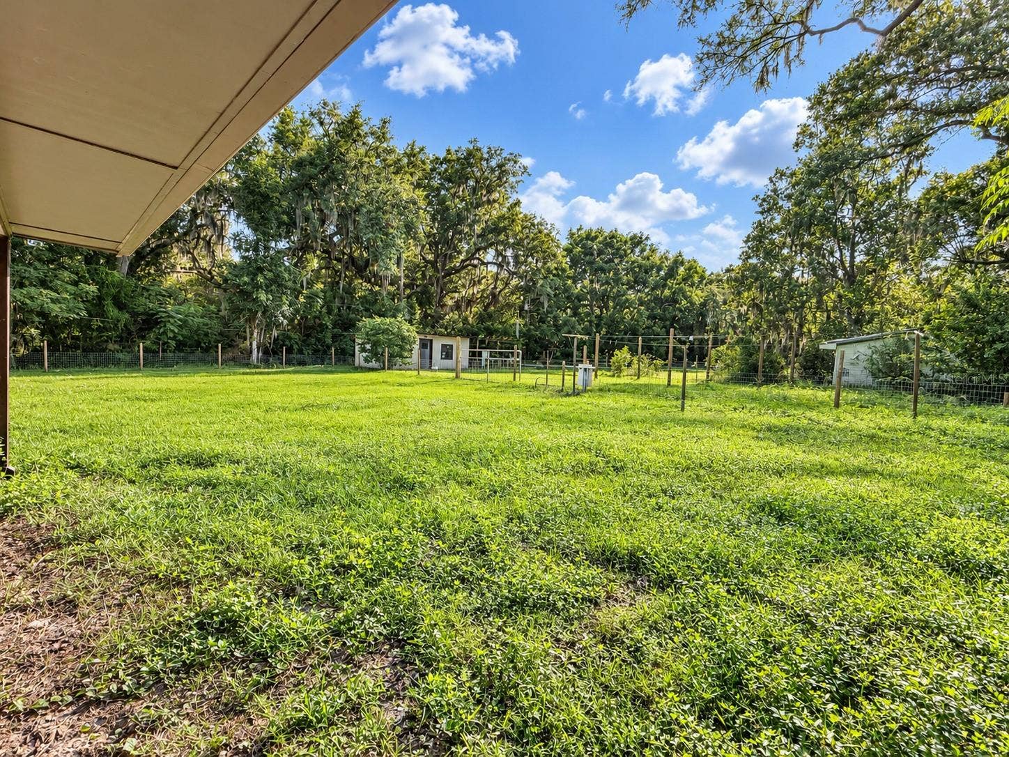 Private yard