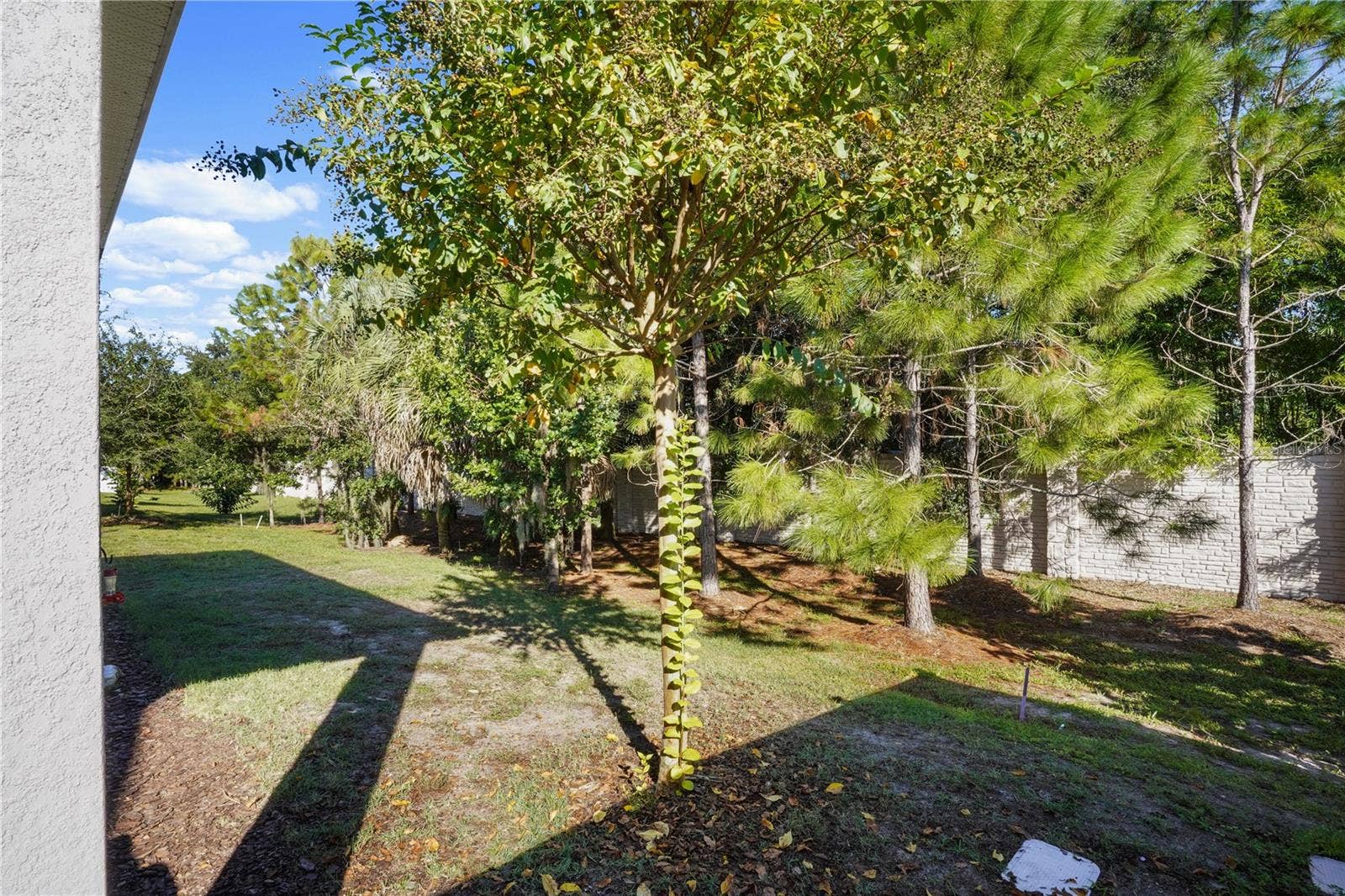 2211 EMERALD SPRINGS DRIVE, Apopka, FL 32712