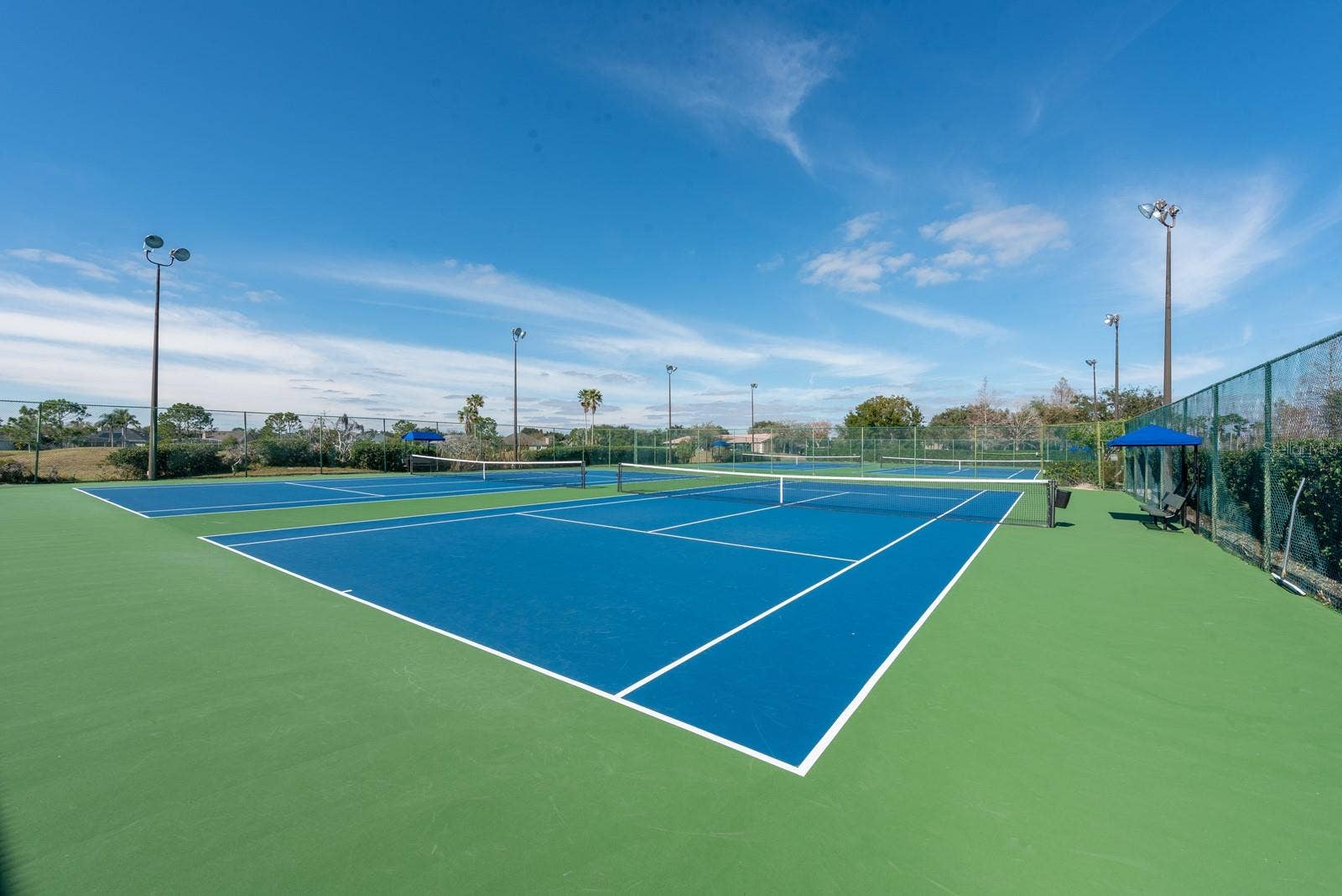 1806 ANNA CATHERINE DRIVE, Orlando, FL 32828 Tennis Courts